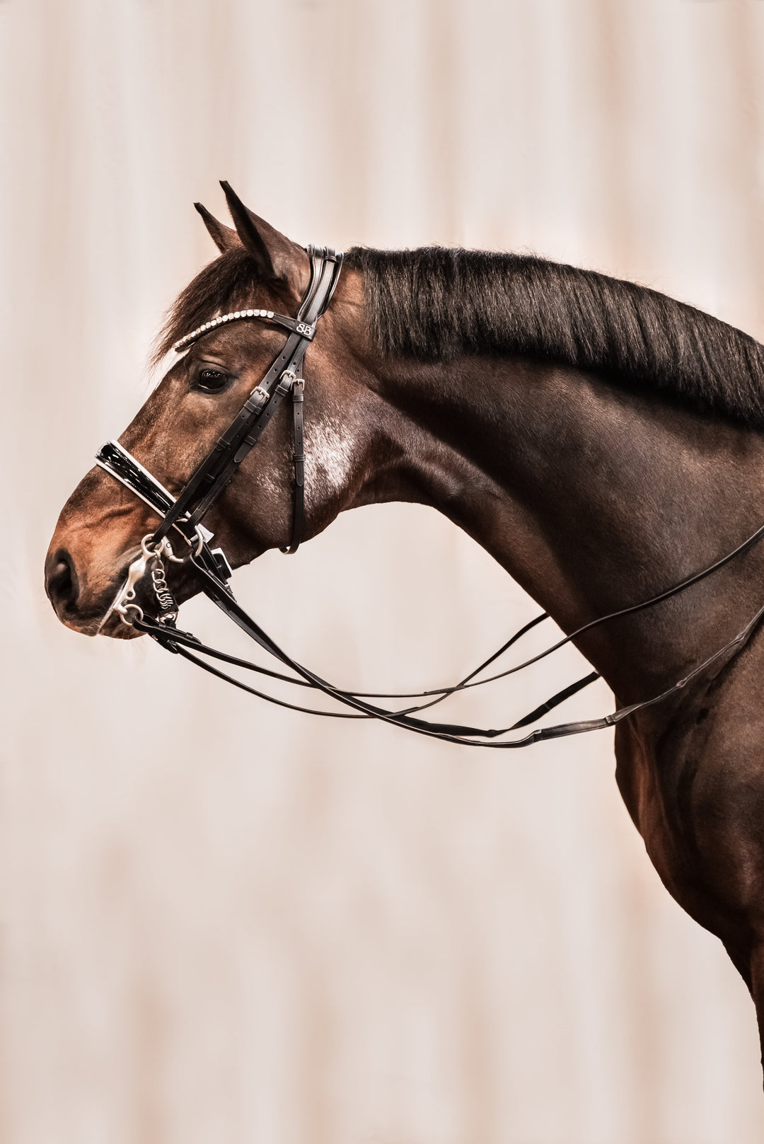 Flachgenähte Kandaren