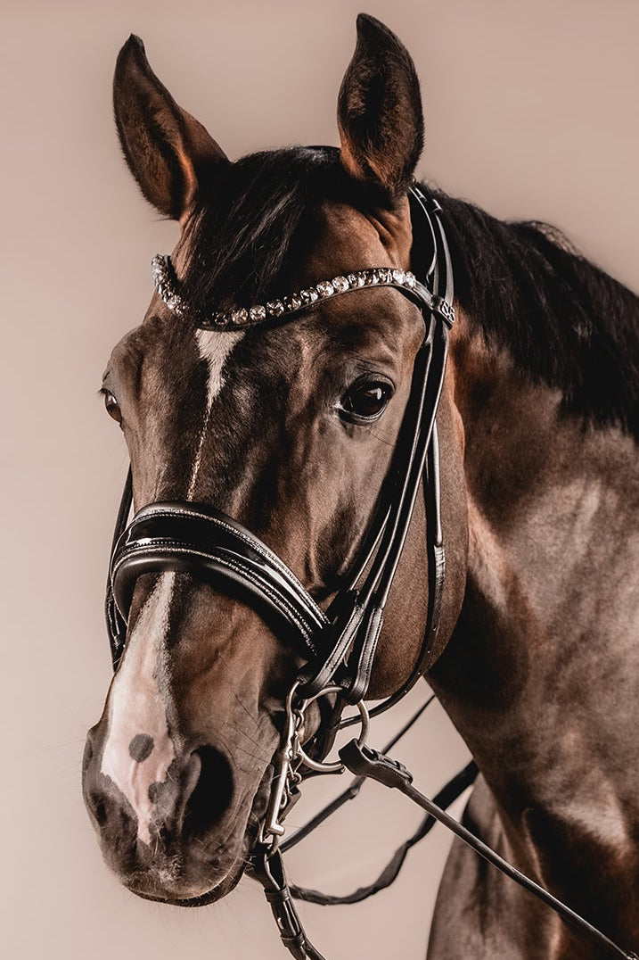 Double bridle SUPERB on the rocks