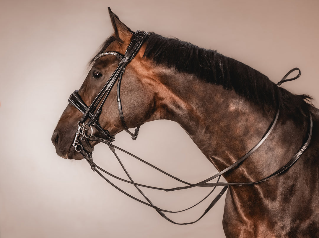 Double bridle SUPERB on the rocks