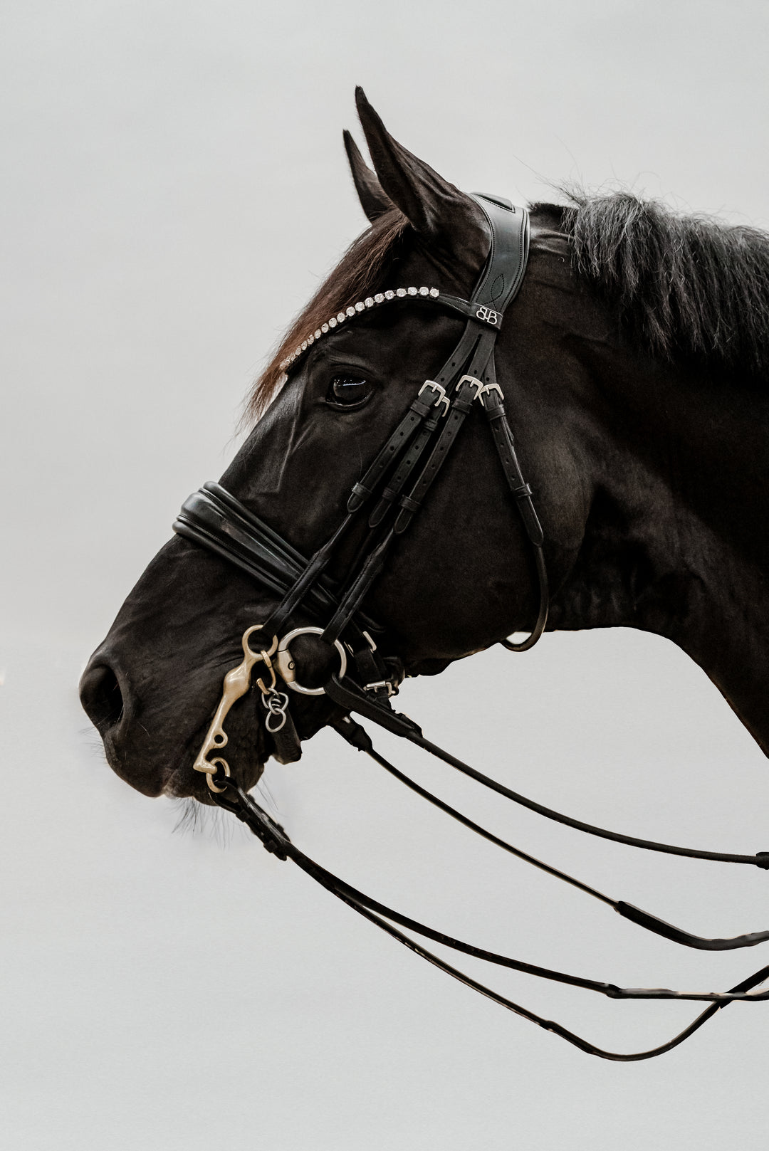 Double bridle SIMPLICITY