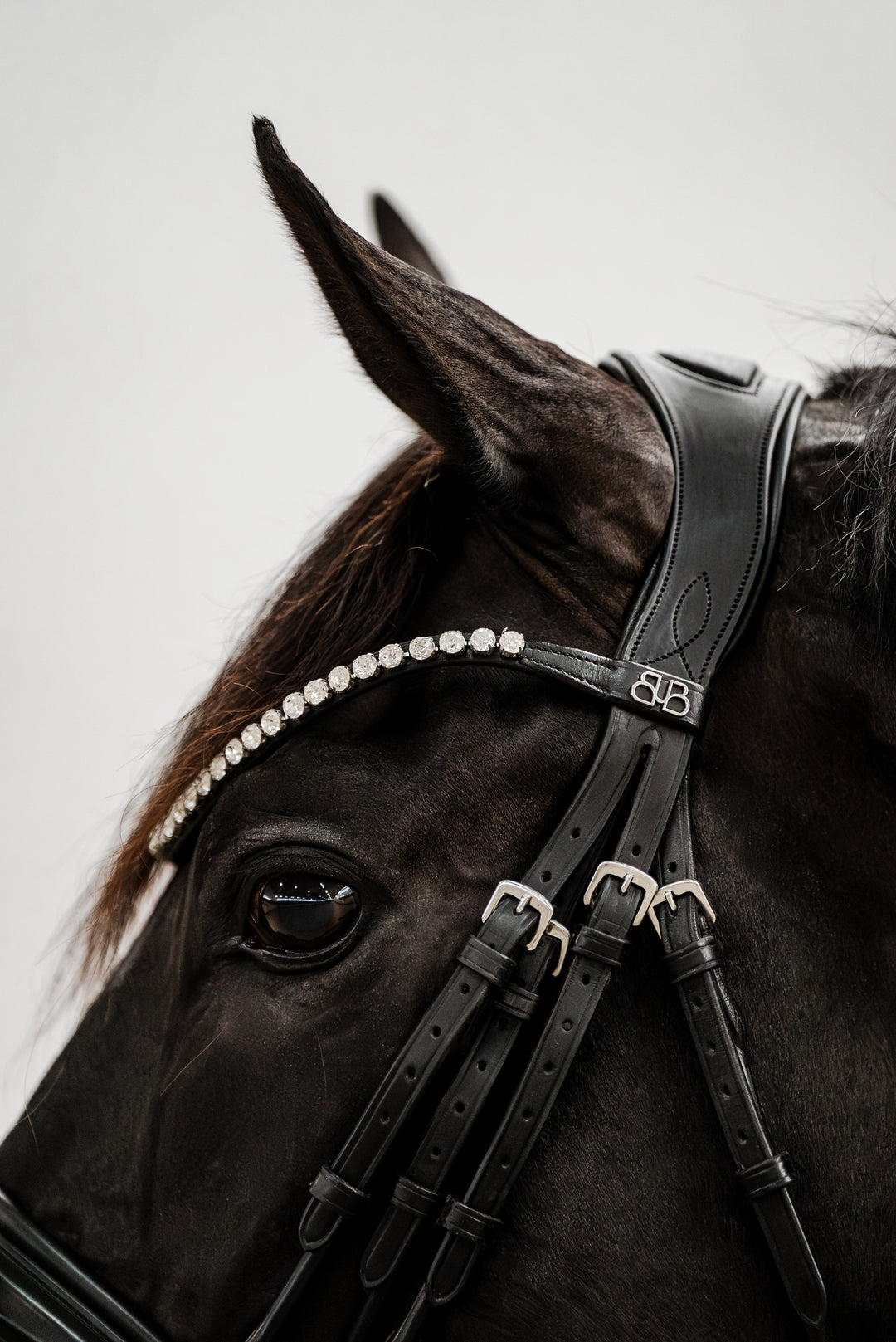 Double bridle SIMPLICITY