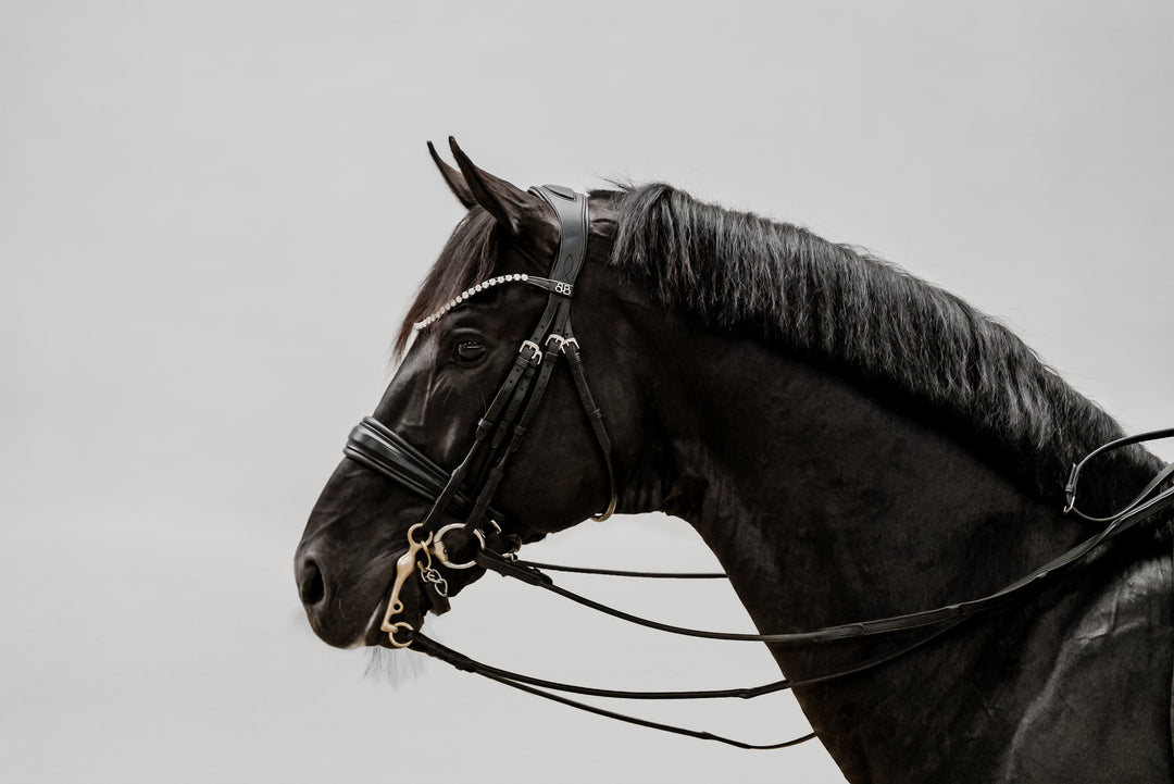 Double bridle SIMPLICITY