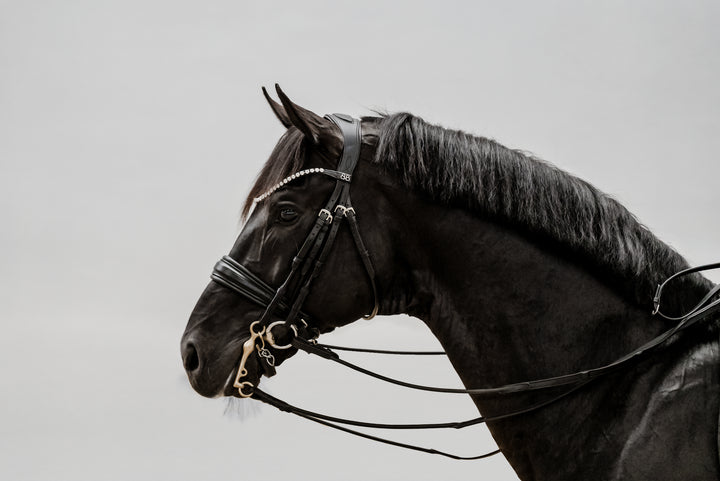 Double bridle SIMPLICITY