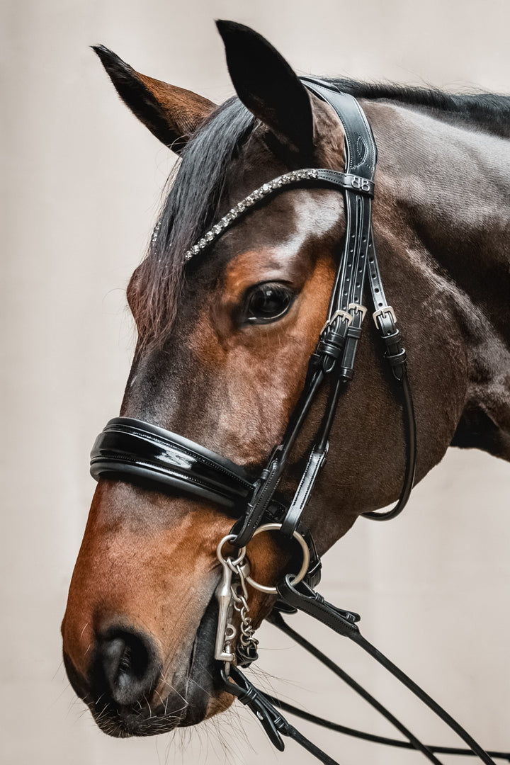 Double bridle SIMPLICITY