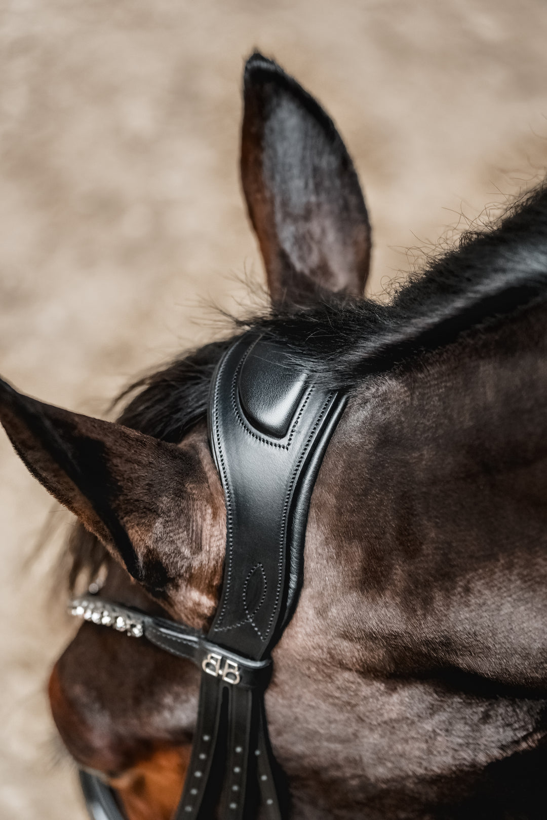 Double bridle SIMPLICITY