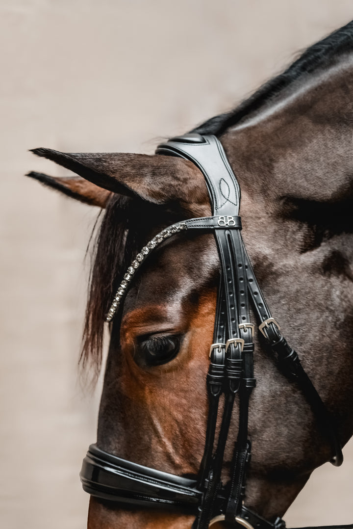 Double bridle SIMPLICITY