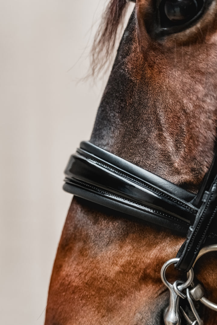 Double bridle SIMPLICITY