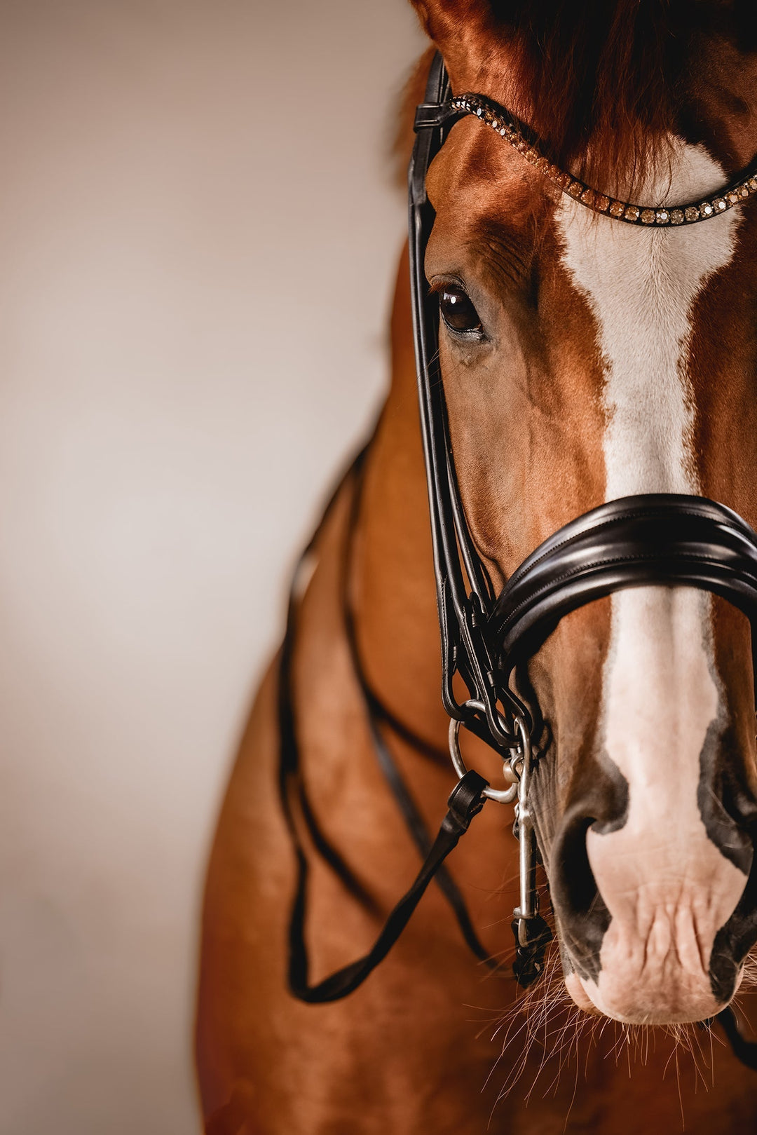 Die Unterschiede zwischen PERFECTION & PREMIUM, SUPERB & SPLENDID