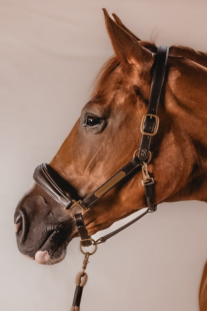 Leather halter NAME IT