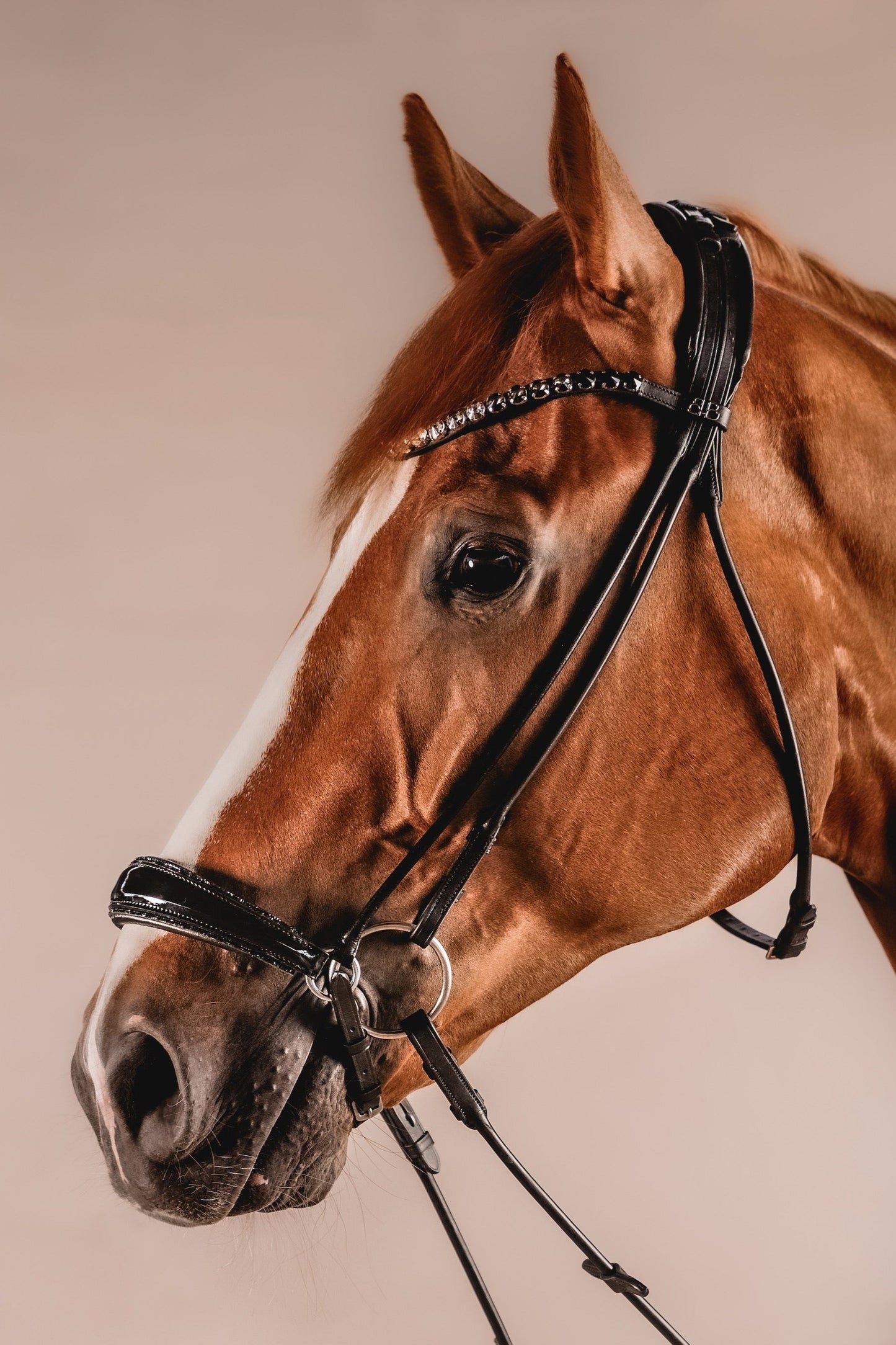 Snaffle PERFECTION hanoverian