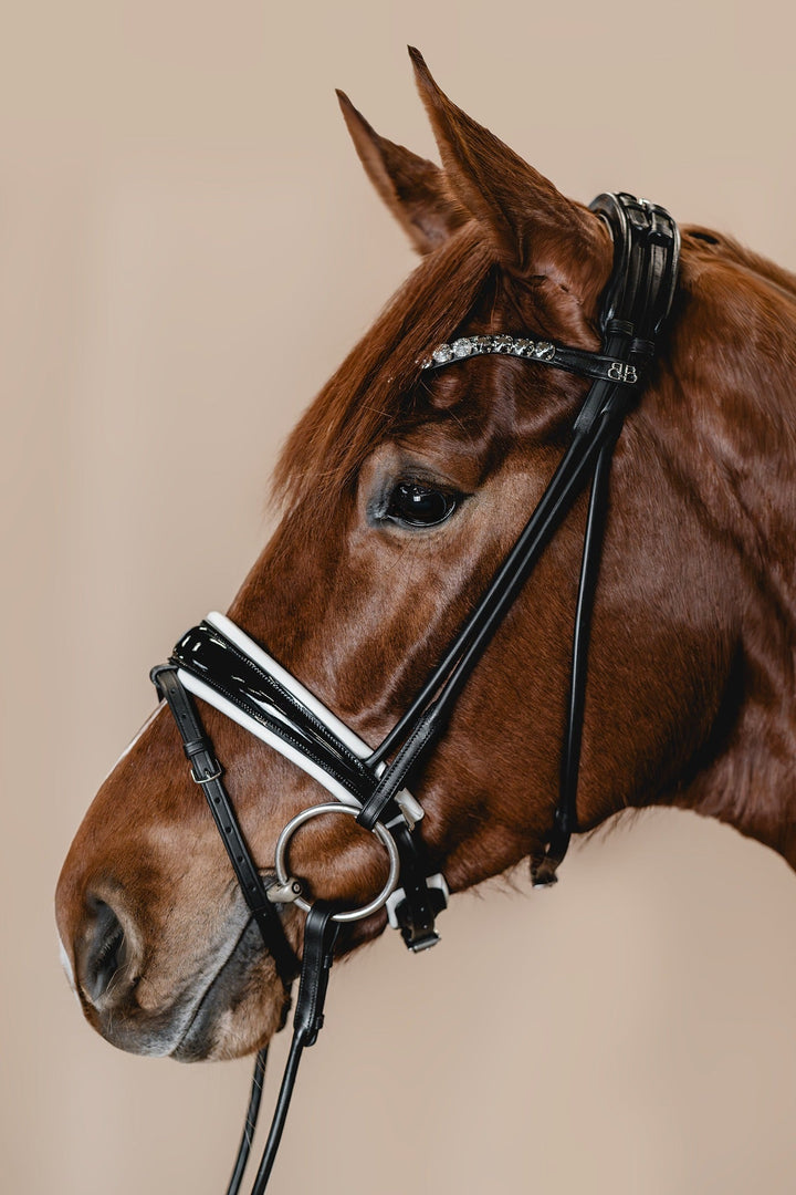 Snaffle PERFECTION