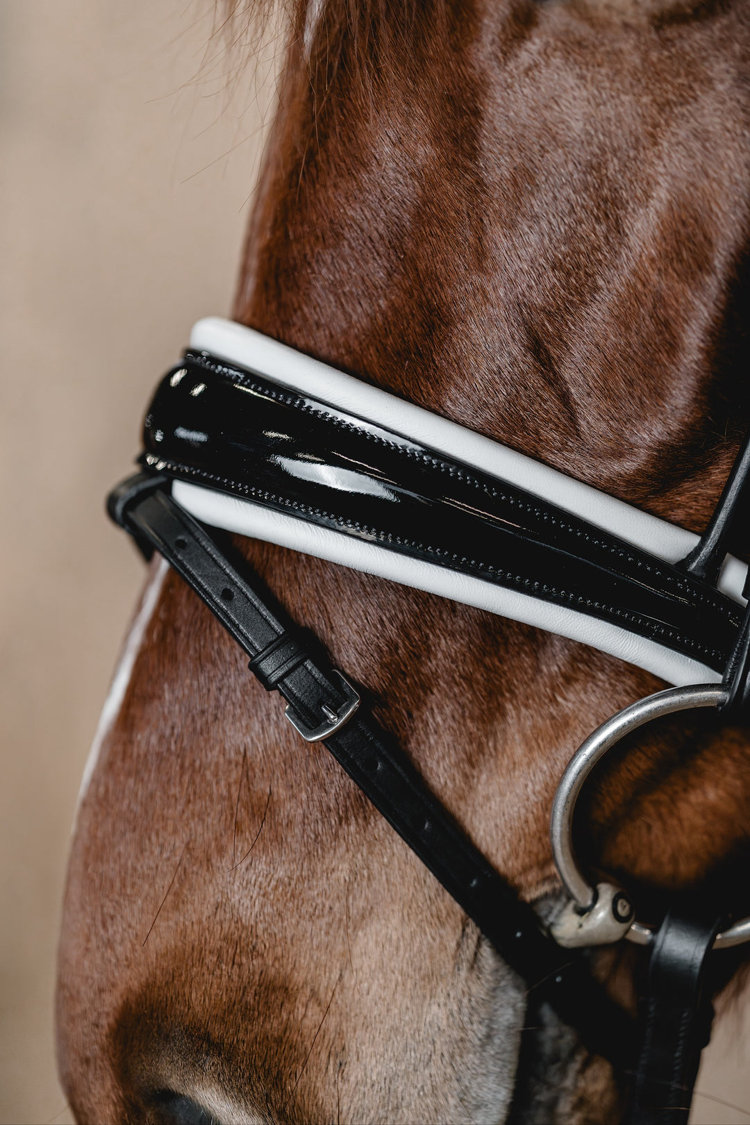 Snaffle PERFECTION