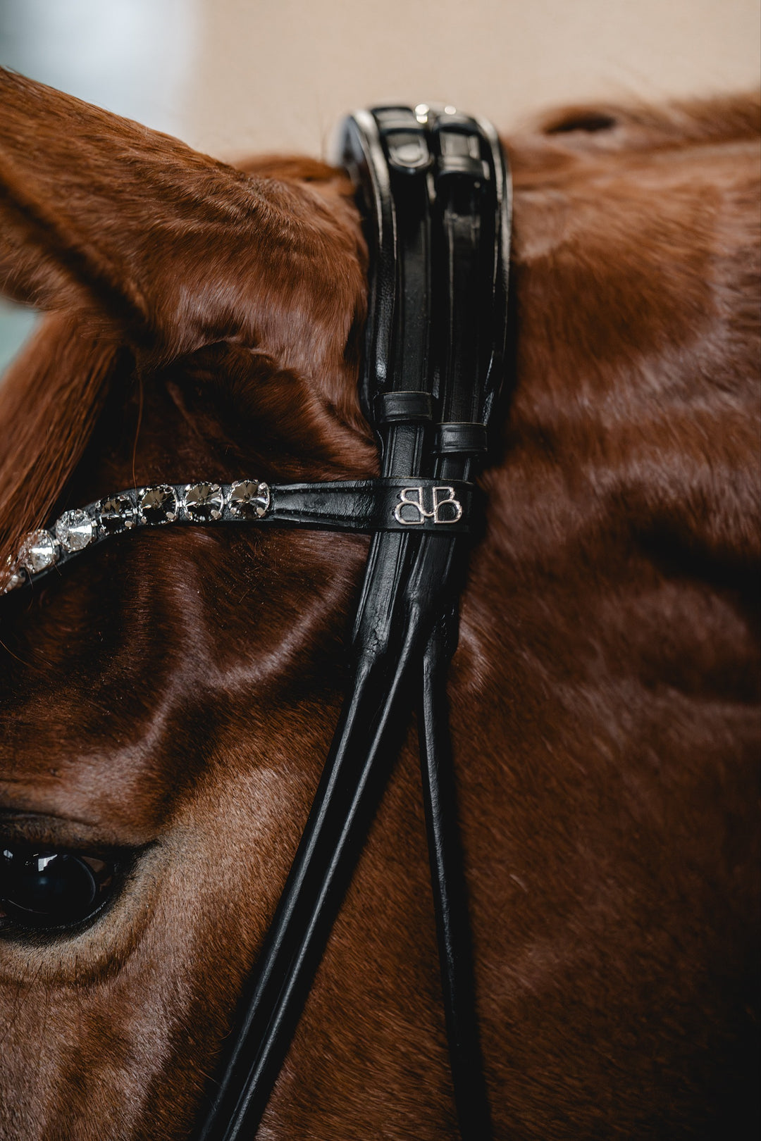Snaffle PERFECTION