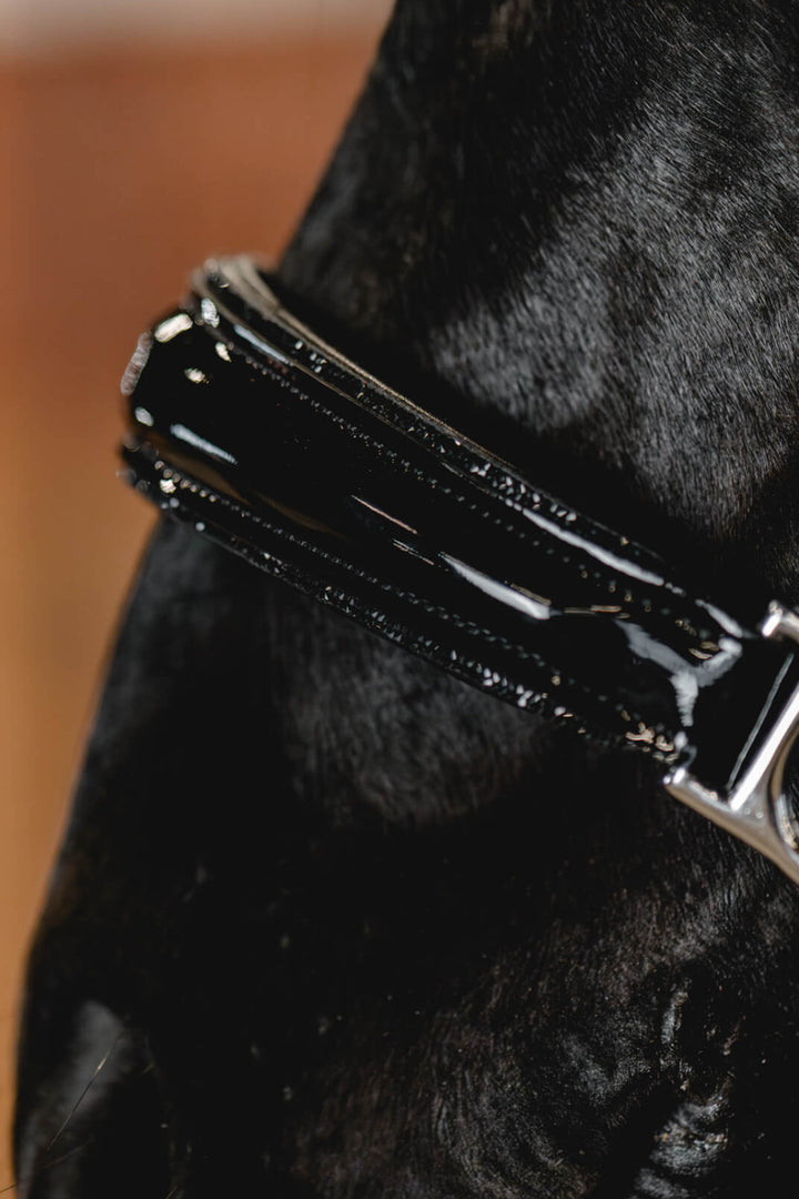 Nahaufnahme vom konischen Nasenriemen mit schwarzen Lackdetails und schwarzer Zierbiese des Brisque Lederhalfters Glamourock.