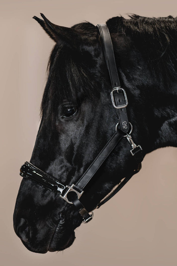 Handgefertigtes schwarzes Brisque Lederhalfter Glamourock mit silbernen Beschlägen, Lack-Nasenriemen und schwarzer Zierbiese.