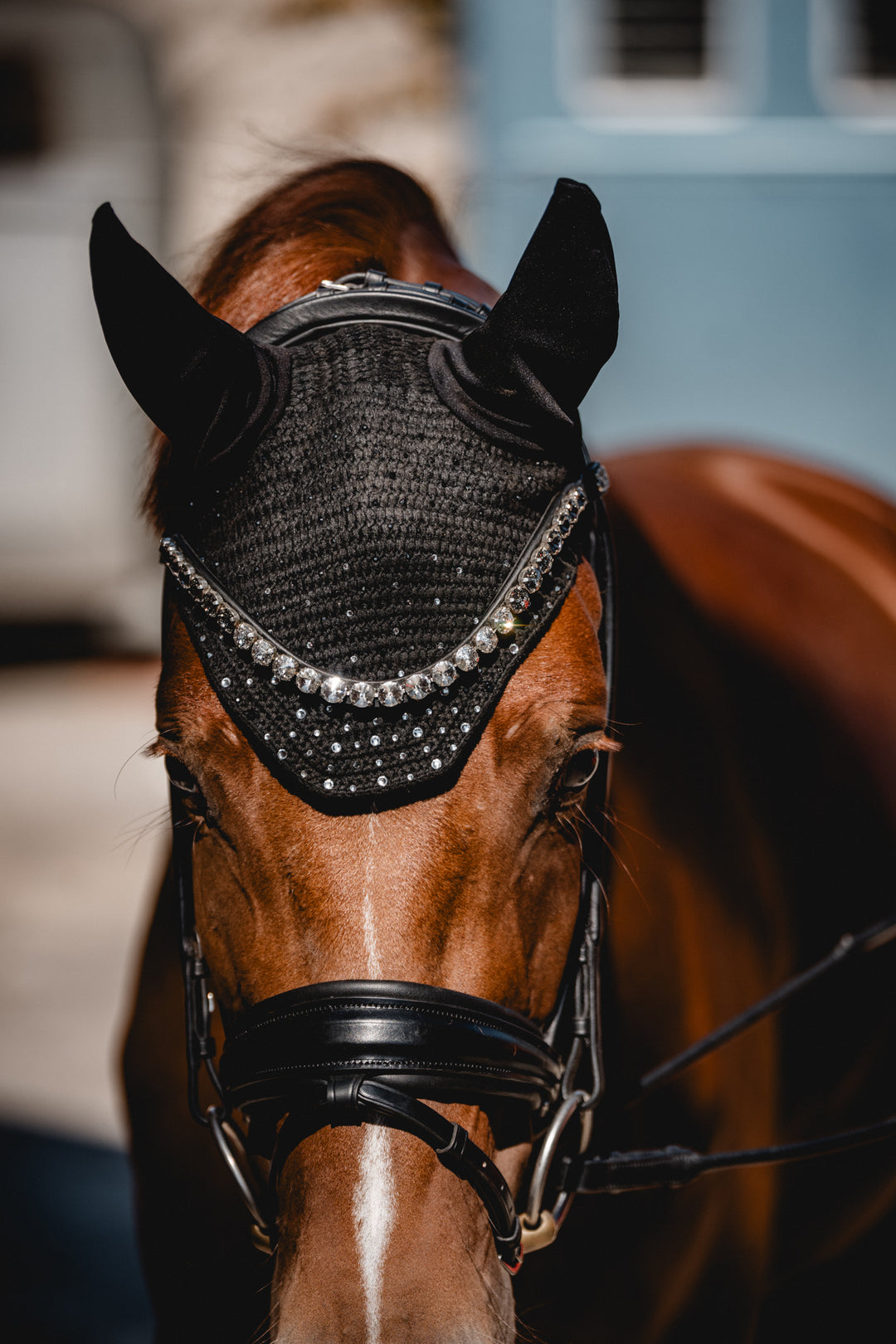 Fliegenhaube FULL OF STARS