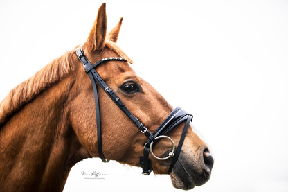 Snaffle SUPERSOFT