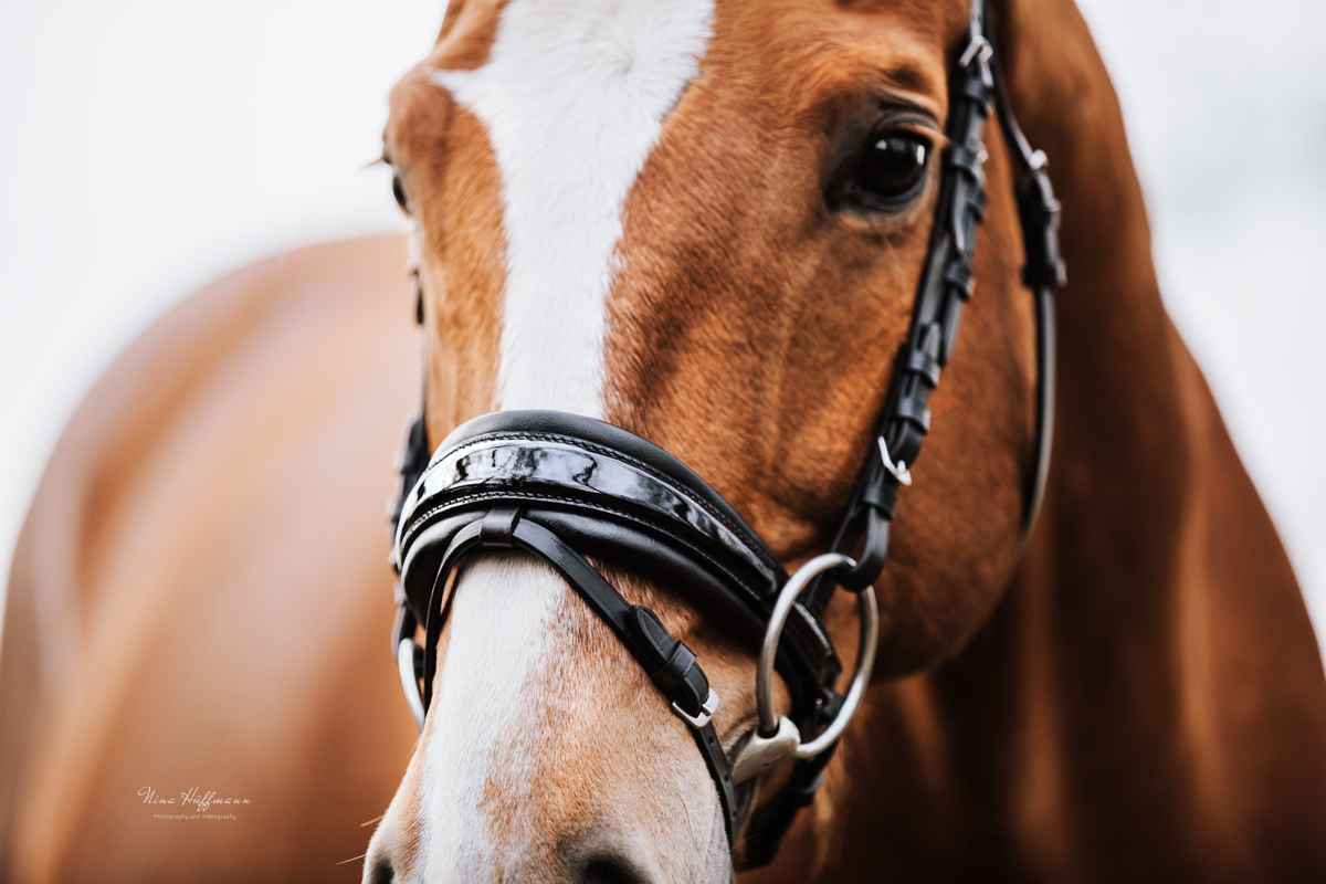 Snaffle SUPERSOFT