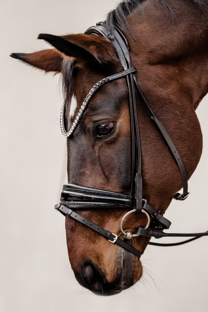 Snaffle PERFECTION on the rocks