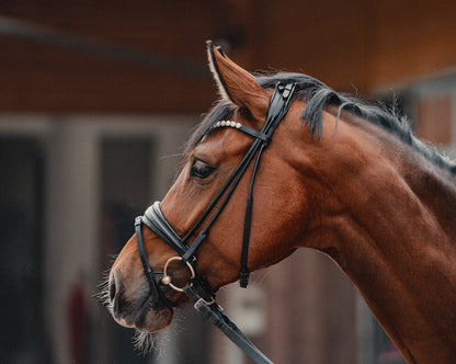 Snaffle PERFECTION