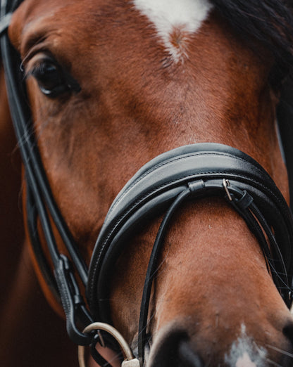 Snaffle PERFECTION