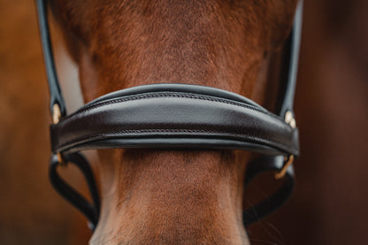 Leather halter BASIC