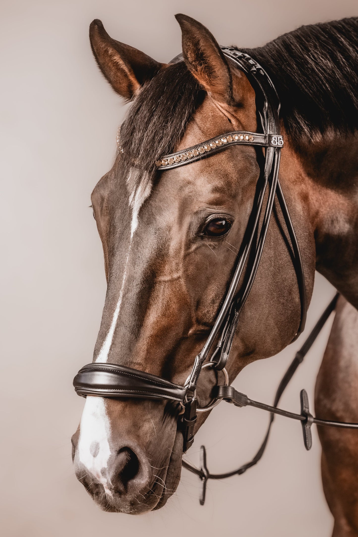 Snaffle PERFECTION hanoverian