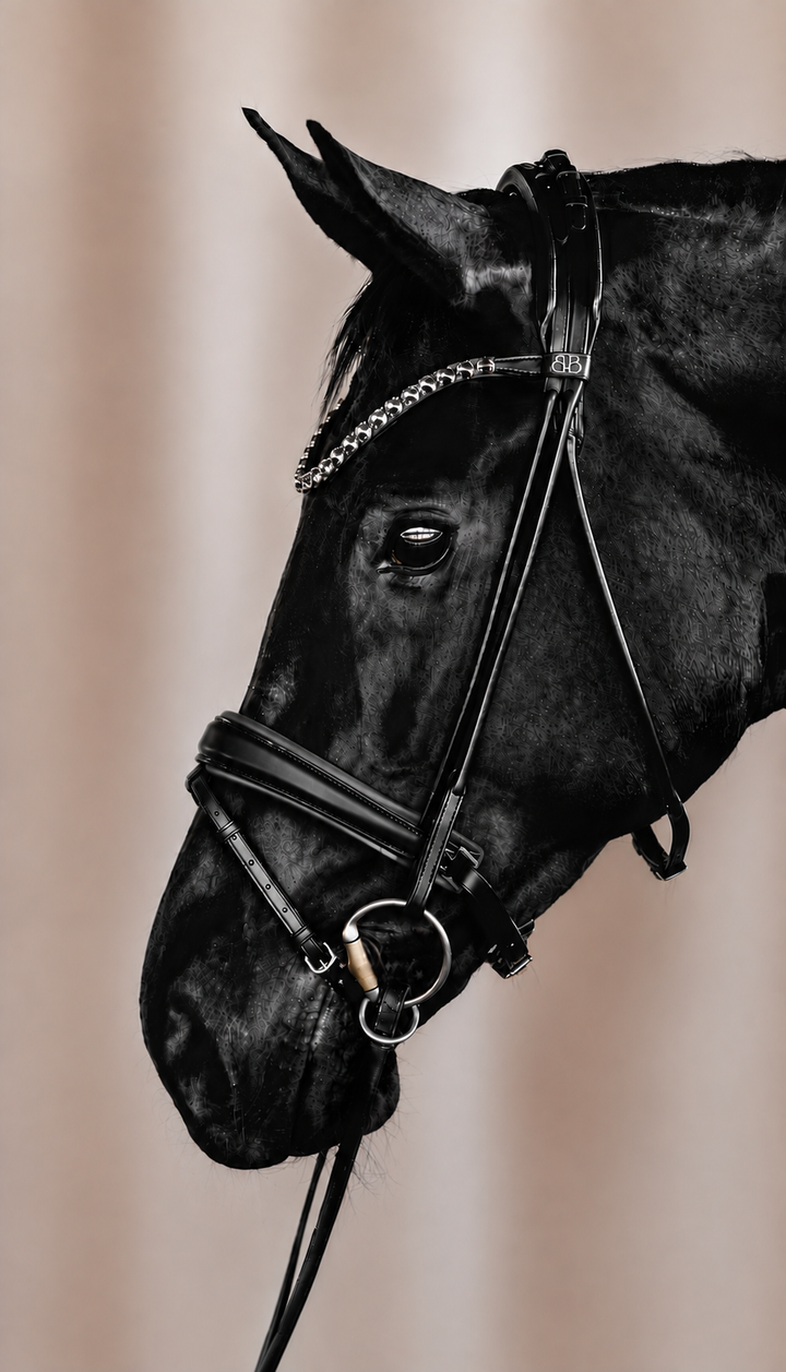 Snaffle PERFECTION