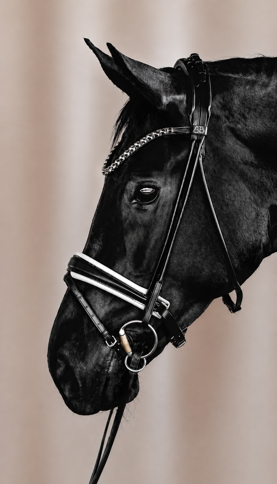 Snaffle PERFECTION