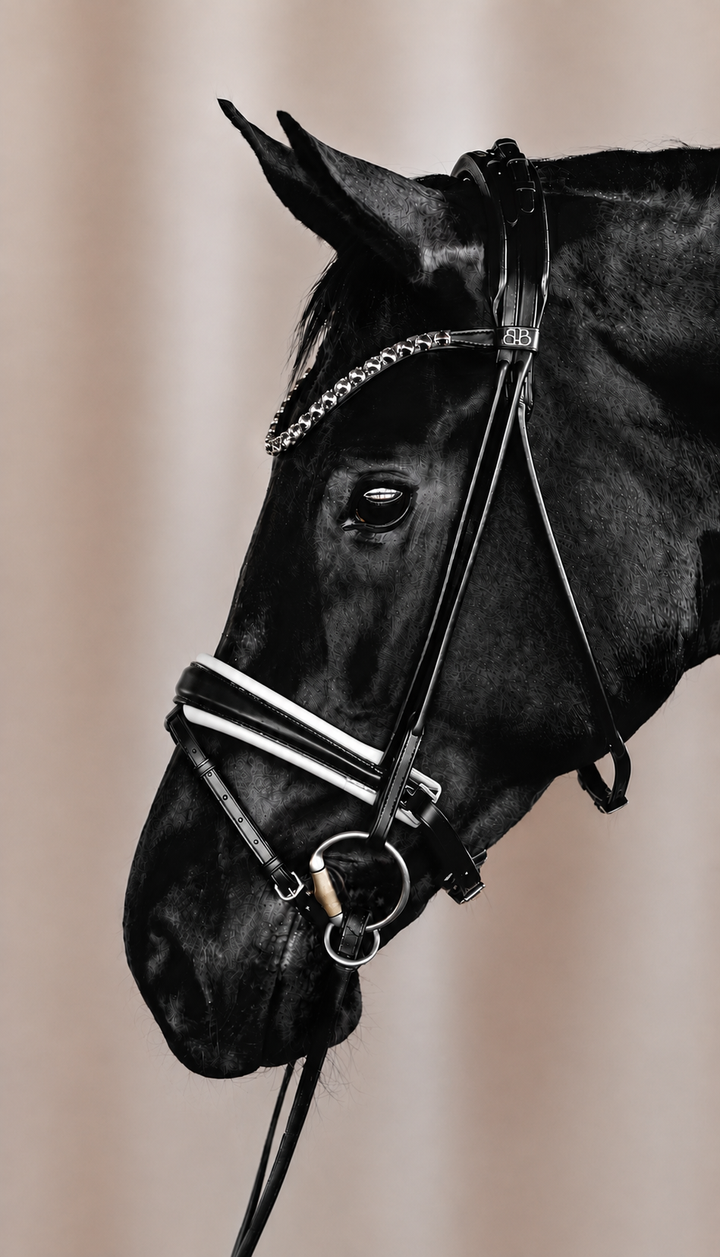 Snaffle PERFECTION